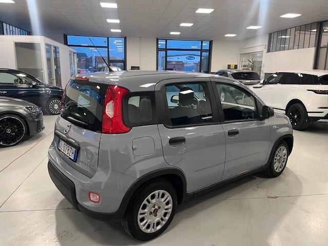 Fiat Panda 1.0 FireFly S&S Hybrid OK NEO PATENTATO 5 POSTI