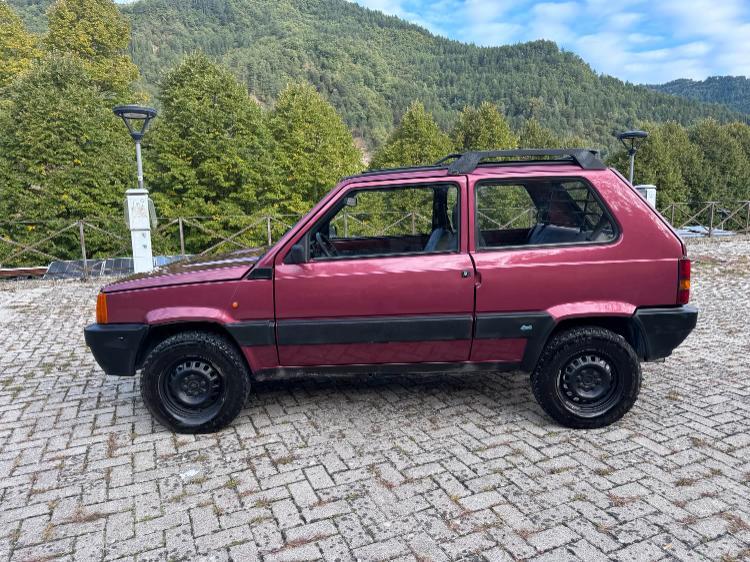 Fiat Panda 1.1 Fire Trekking 4x4 cat.