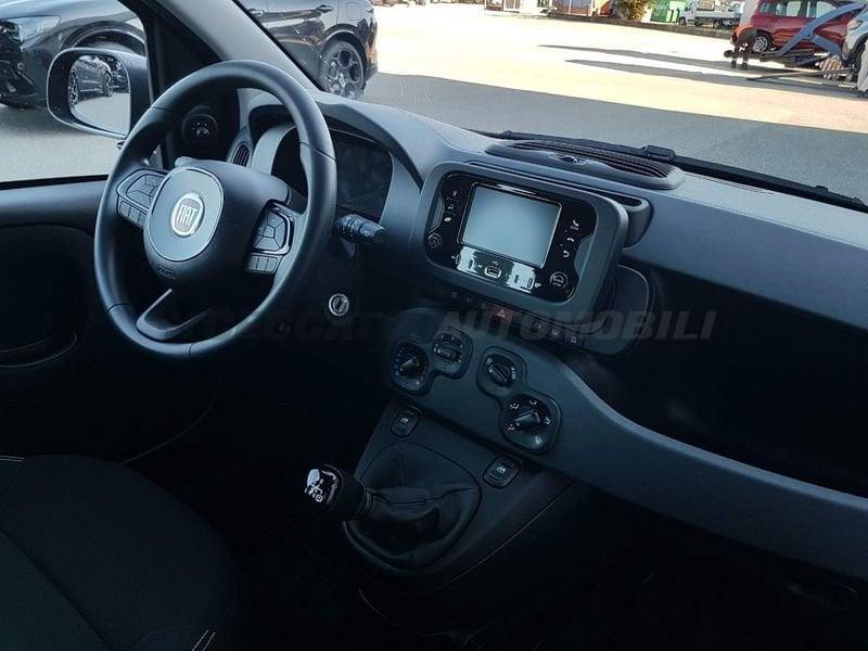 FIAT Panda Panda 1.0 70cv Hybrid Icon
