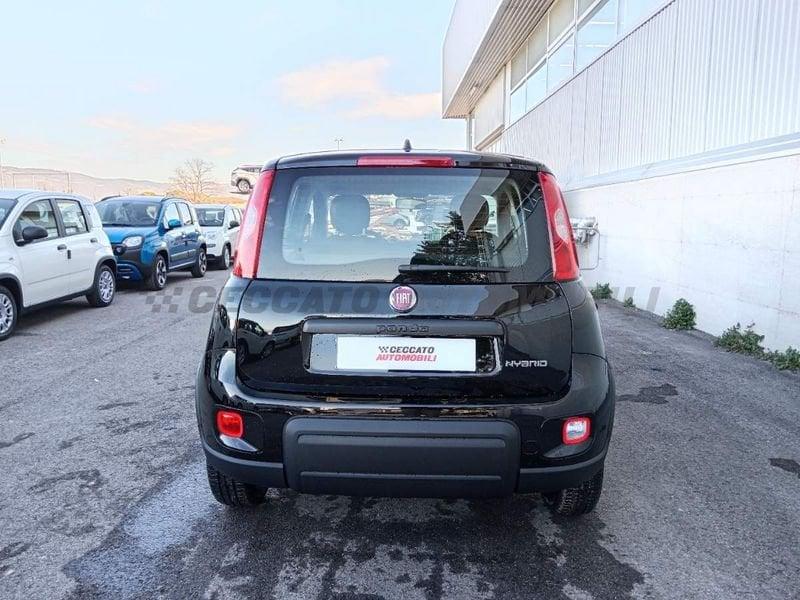 FIAT Panda My24 1.0 70cv Hybrid Panda