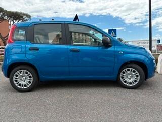 Fiat Panda 1.0 FireFly S&S Hybrid Icon