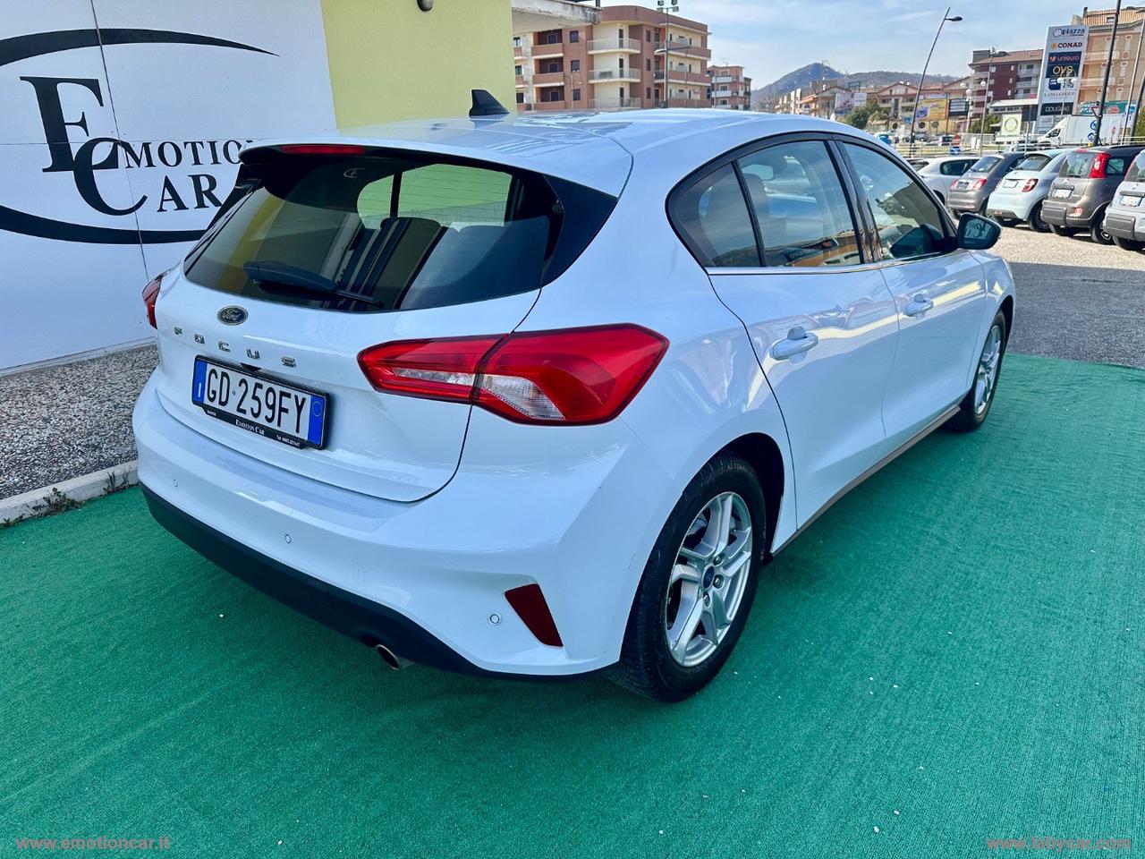 FORD Focus 1.5 EcoBlue 95CV 5p. Business AUTOCARRO N1 - 2020