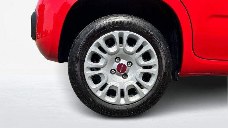 FIAT Panda 1.2 Easy s&s 69cv my19