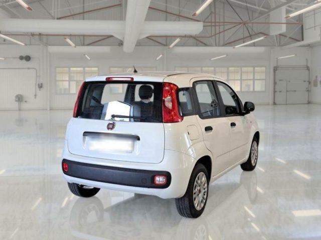 FIAT Panda 1.2 Easy ADATTA A NEOPATENTATO