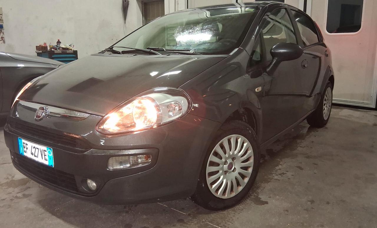 Fiat Punto Evo 1.2 5 porte S&S Active