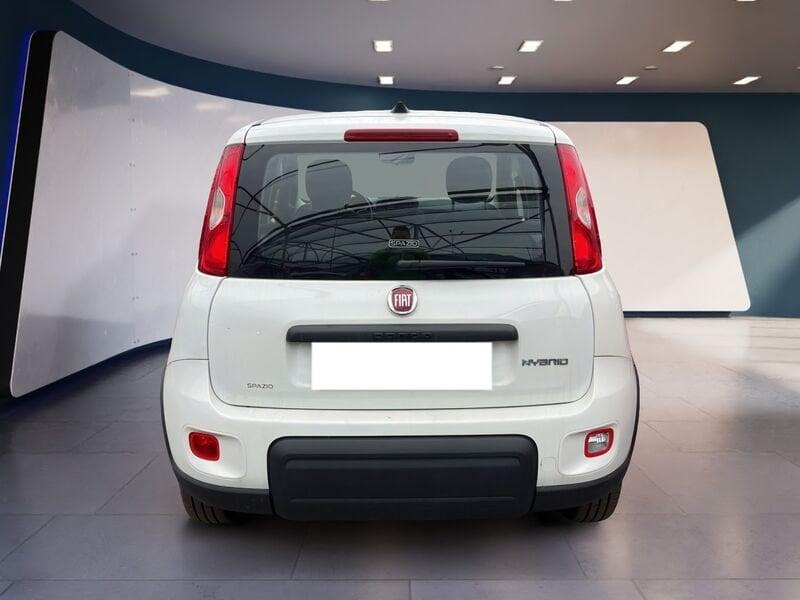FIAT Panda My23 1.0 70cv Hybrid Panda