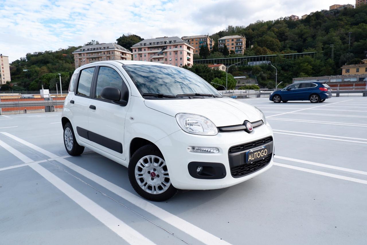 FIAT NEW PANDA 1.2 BENZ. 5 POSTI EURO6D