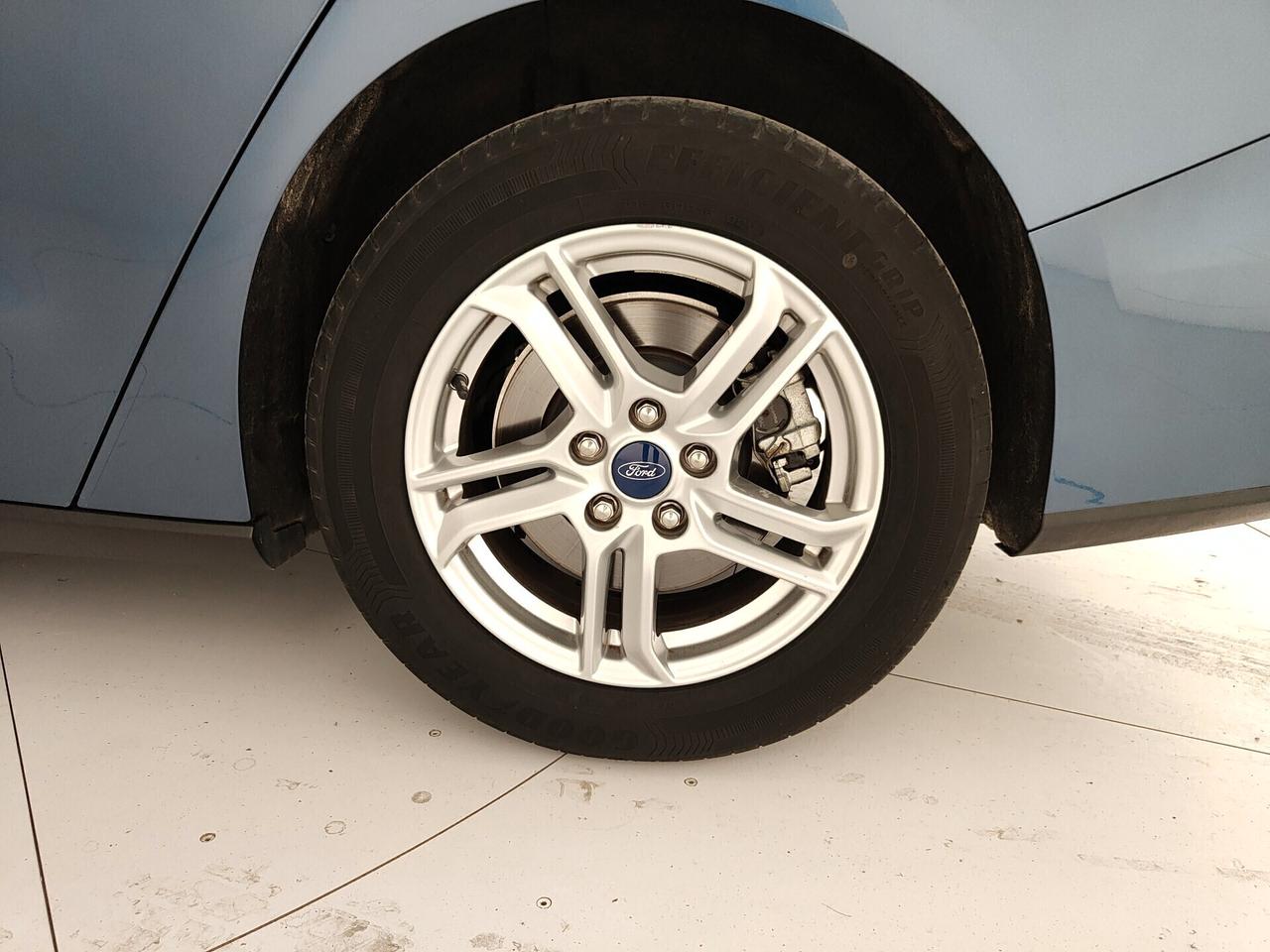 Ford Focus 1.5 EcoBlue 120 CV automatico SW Business Co-Pilot