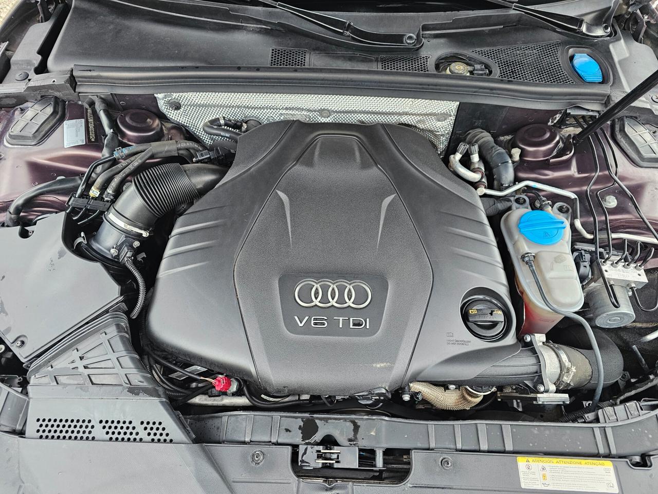 Audi A5 3.0 V6 TDI 245 CV quattro S tronic Advanced