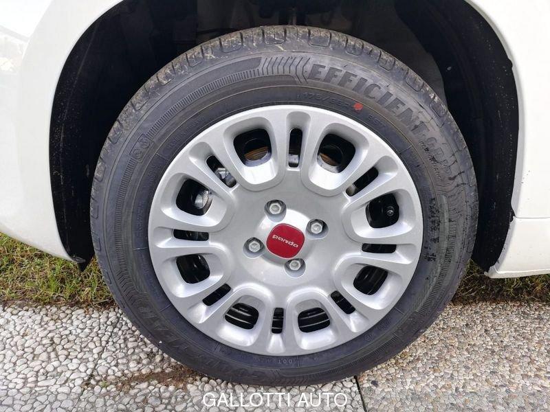 FIAT Panda 1.0 FireFly S&S Hybrid-NESSUN OBBL. FIN.