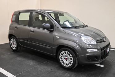 FIAT Panda 3ª serie Panda 1.0 FireFly S&S Hybrid