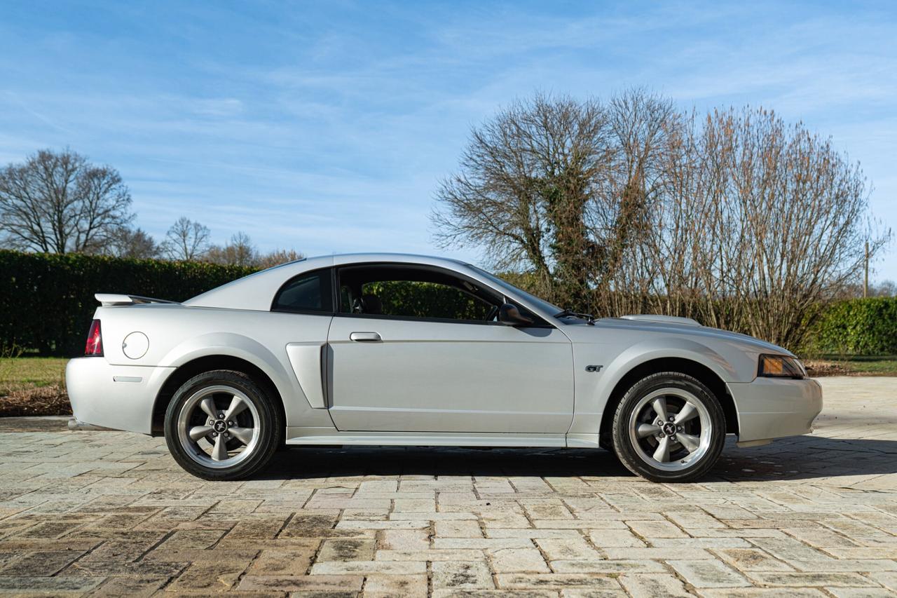 Ford Mustang GT V8 SRS - RDS01942