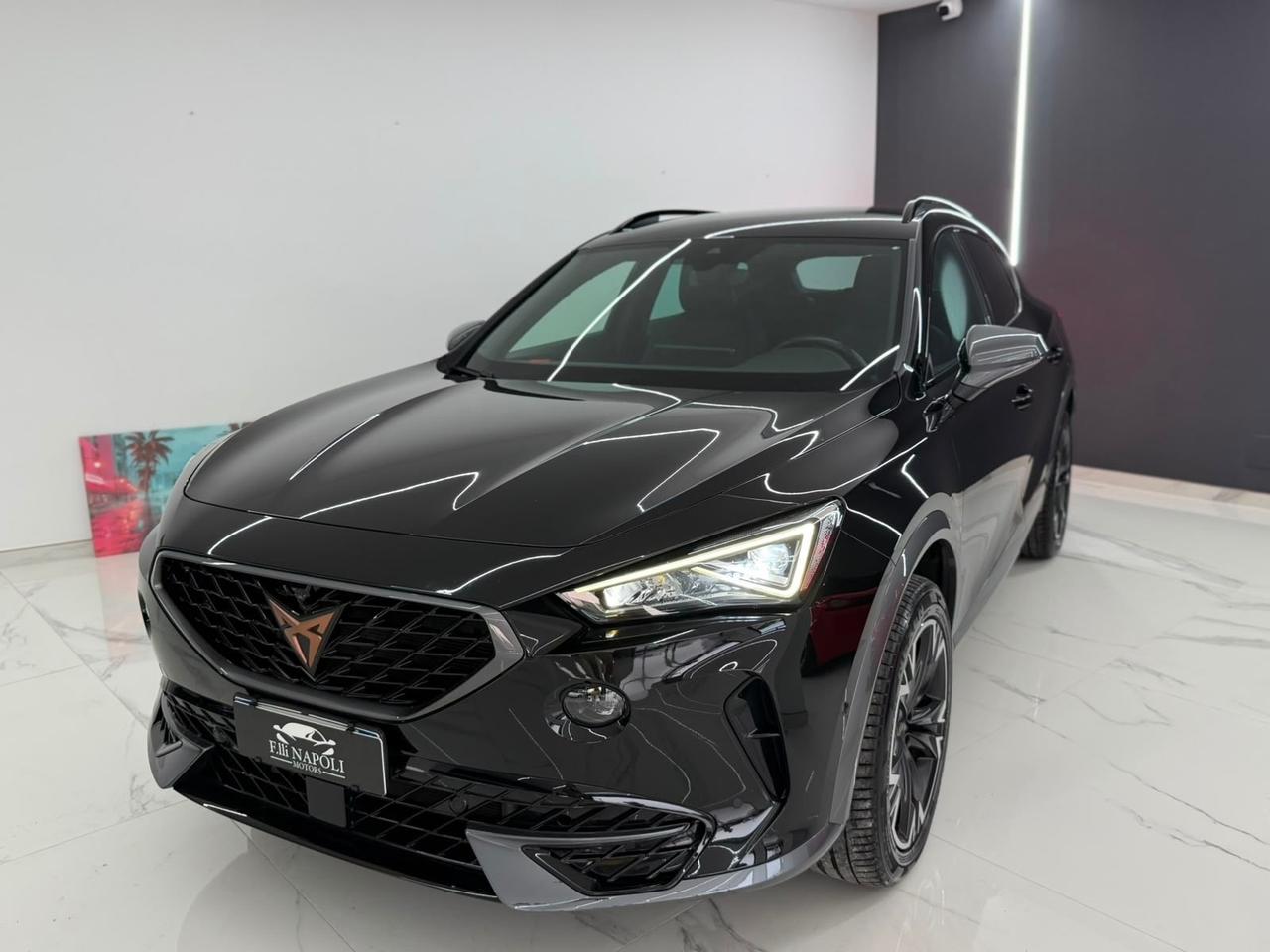 Cupra Formentor 2.0 TDI 4Drive DSG