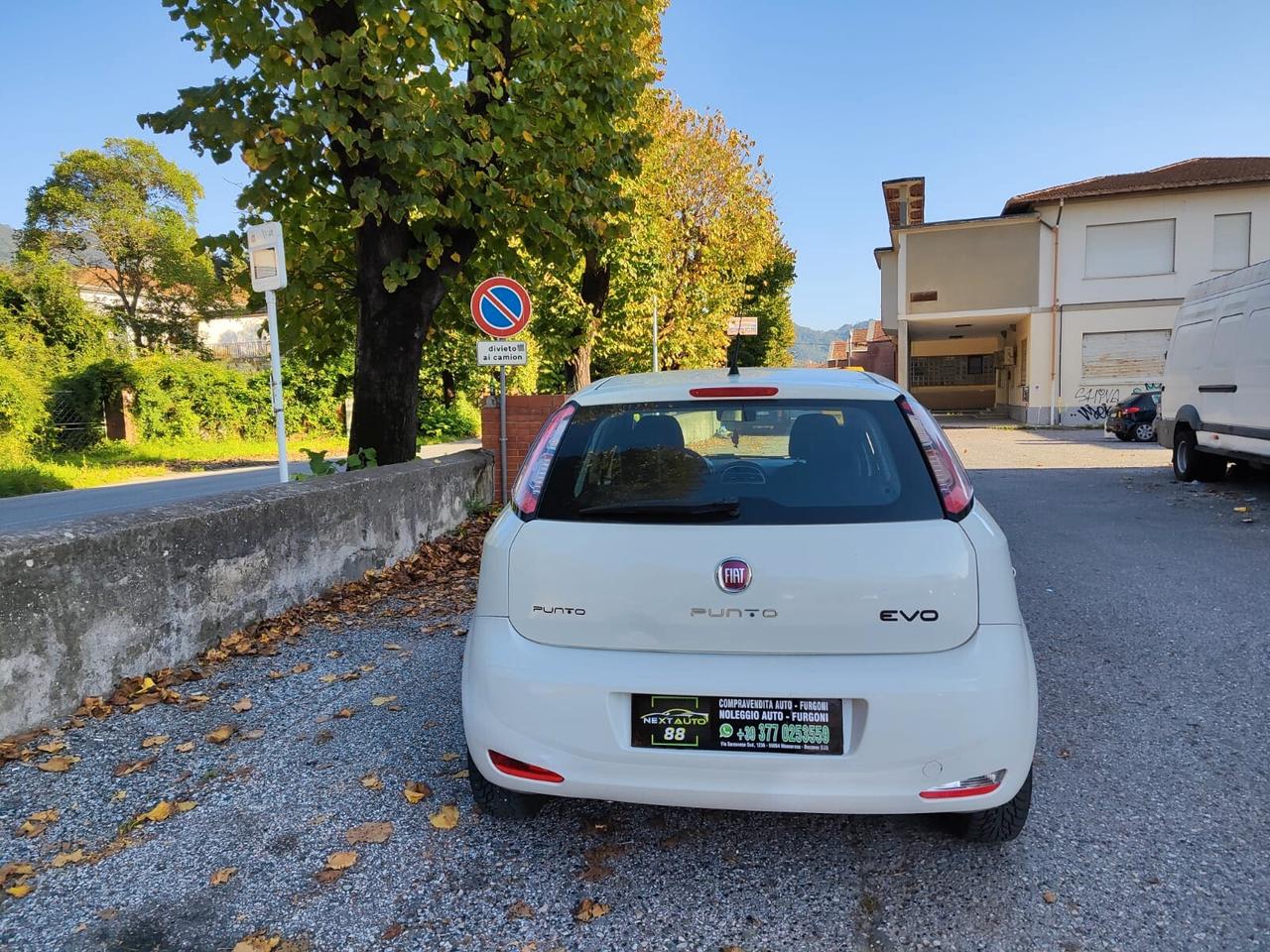 Fiat Punto 1.3 MJT Neopatentati 5 porte - 2014