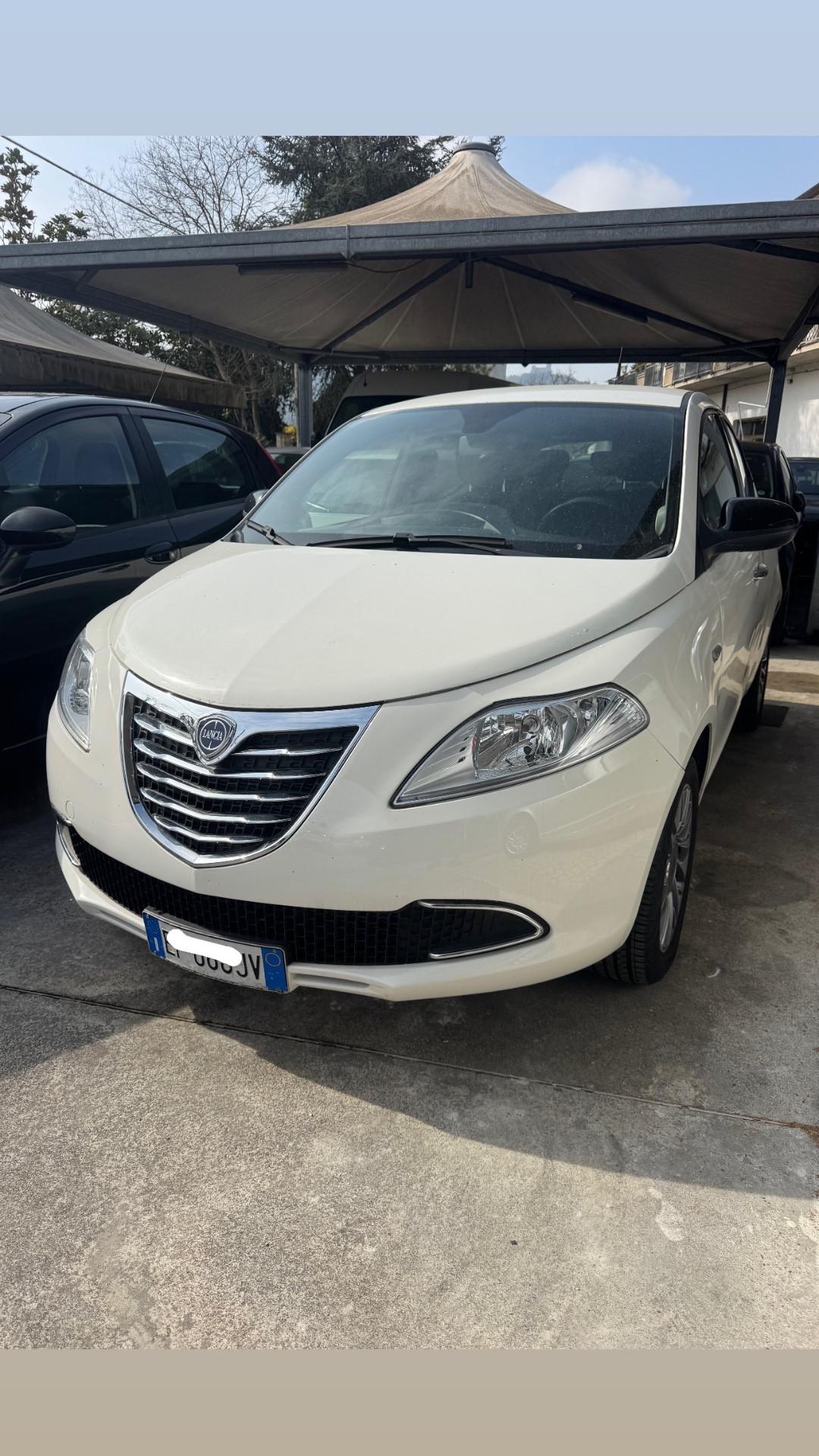 Lancia Ypsilon 1.3 MJT 16V 95 CV 5 porte S&S Platinum