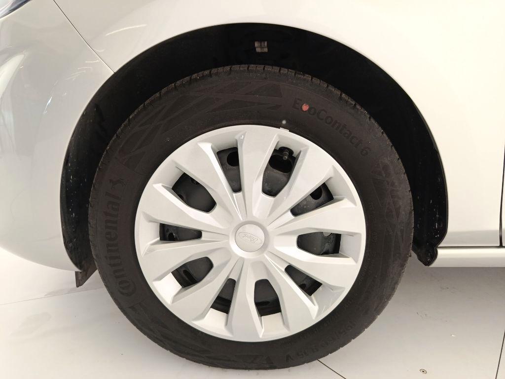 FORD Fiesta 7ª serie - Fiesta 1.1 75 CV 5 porte Titanium