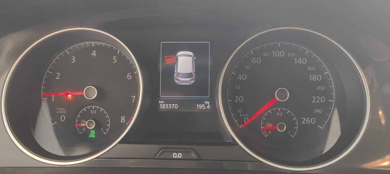 Volkswagen Golf 1.4 TGI 5p. Executive BlueMotion