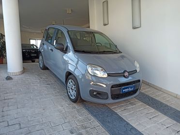 Fiat Panda 1.2 Easy 2020