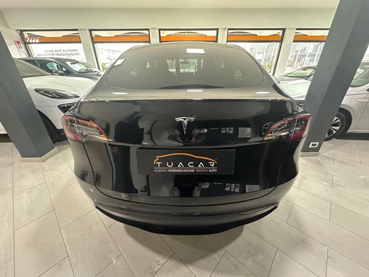 Tesla Model Y STANDARD RANGE SINGLE MOTOR RW #8363