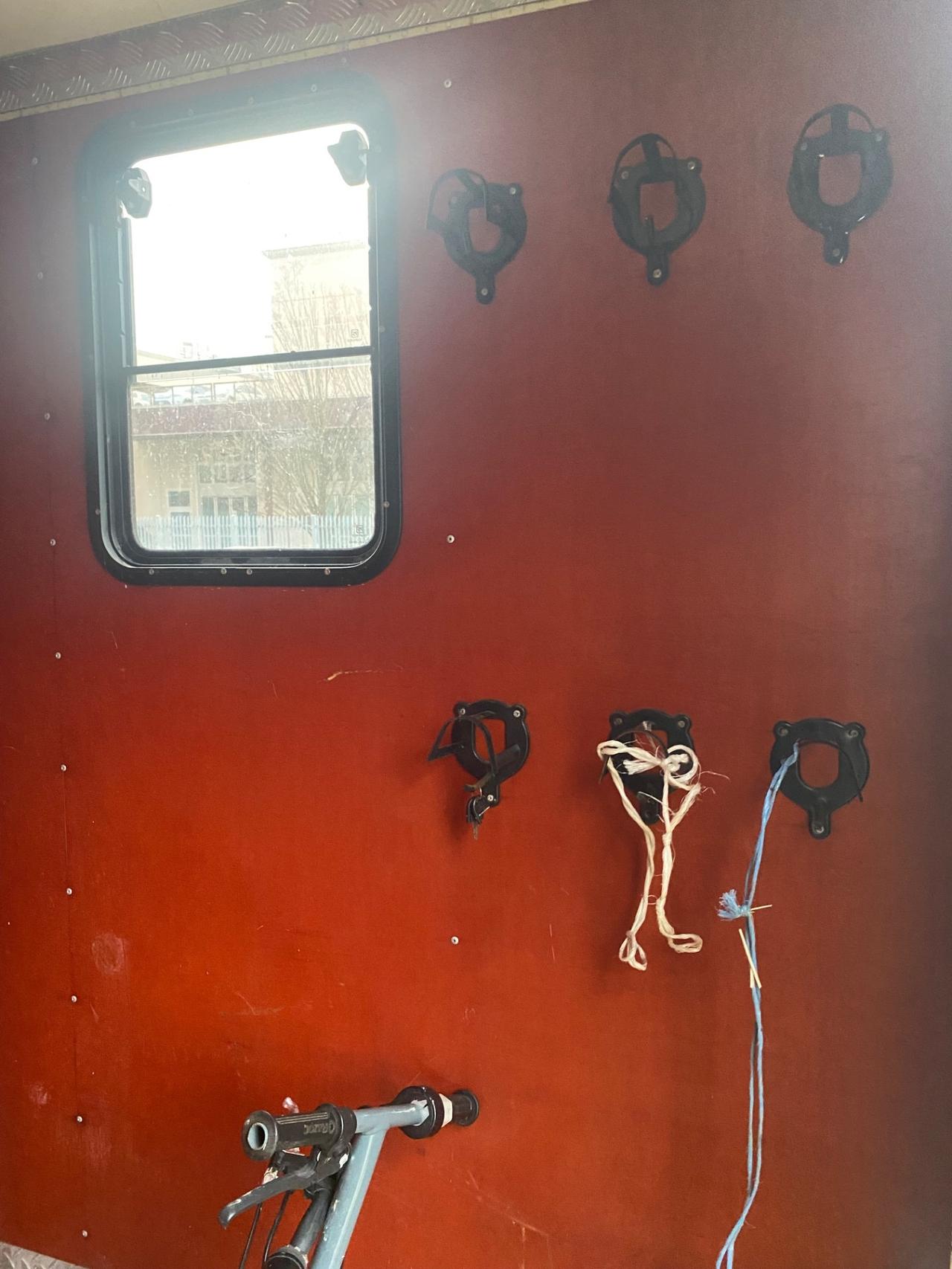 Iveco Daily 50 C11 trasporto per 3 cavalli patente B