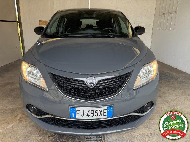 LANCIA Ypsilon 1.2 69 CV 5 porte Platinum PREZZO REALE!!!