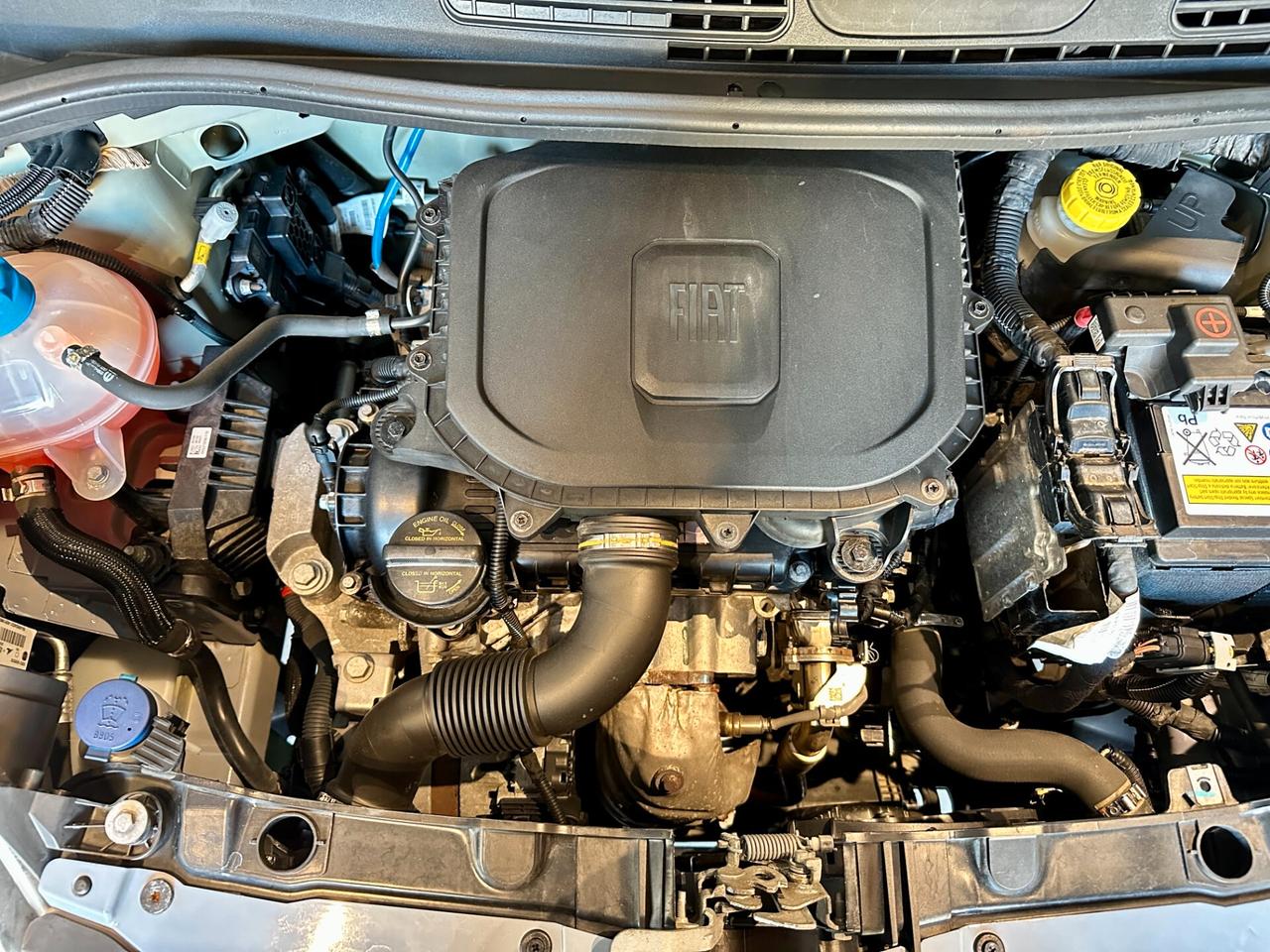 Fiat Panda 1.0 FireFly S&S Hybrid