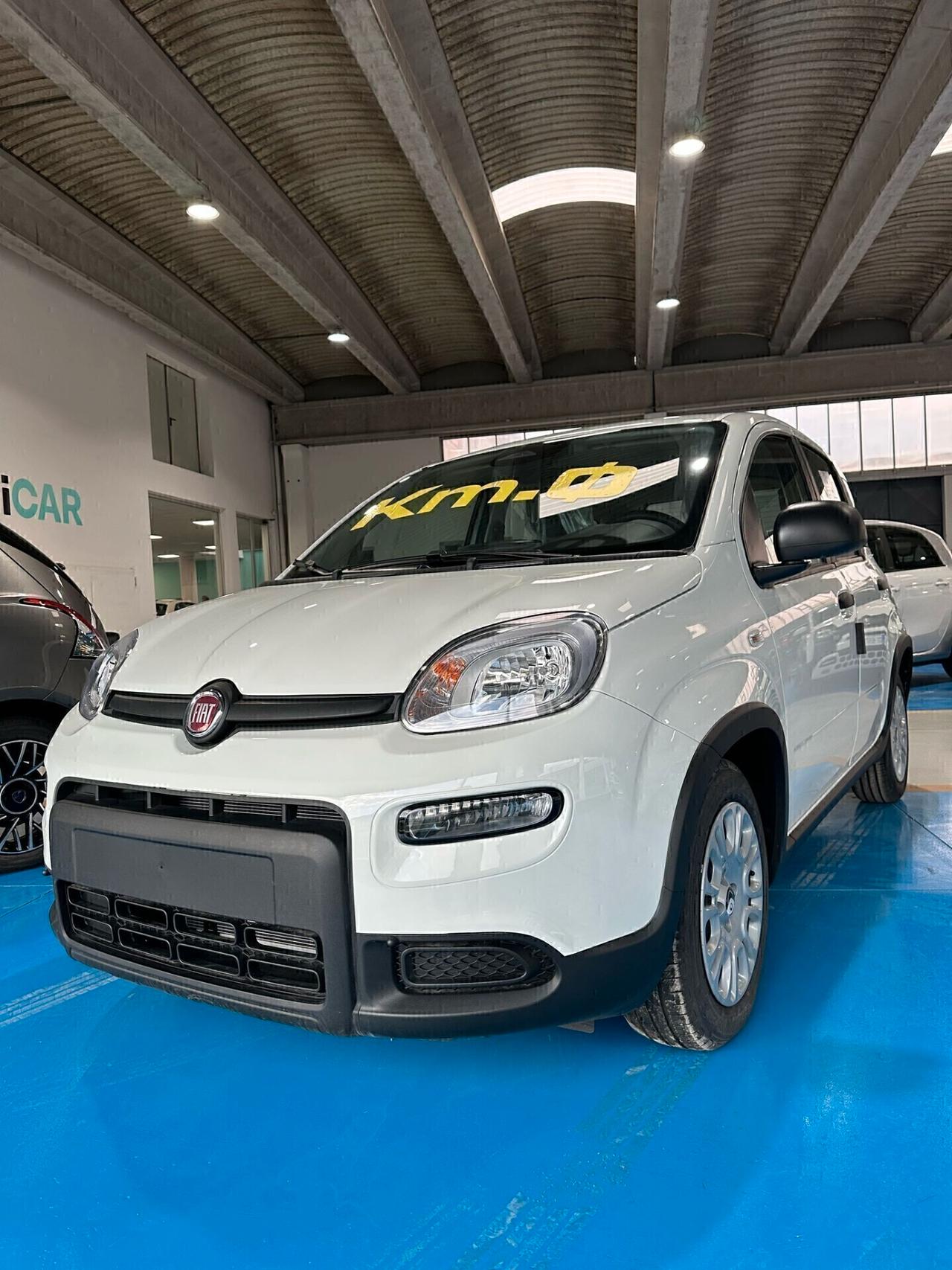 Fiat Panda 1.0 70cv Hybrid PANDINA KM 0 2024