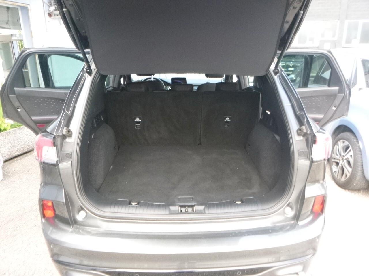 Ford Kuga 1.5 EcoBlue 120 CV 2WD ST-Line X NEOPATENTATI