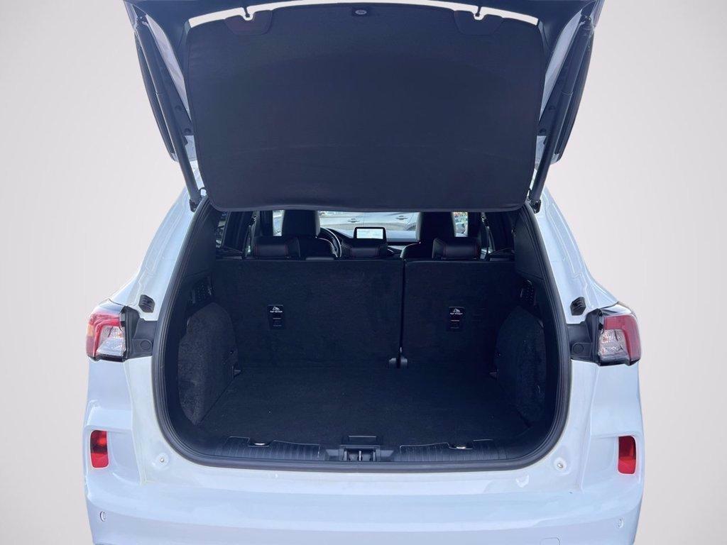 FORD Kuga 2.5 Plug In Hybrid 225 CV CVT 2WD ST-Line X del 2023