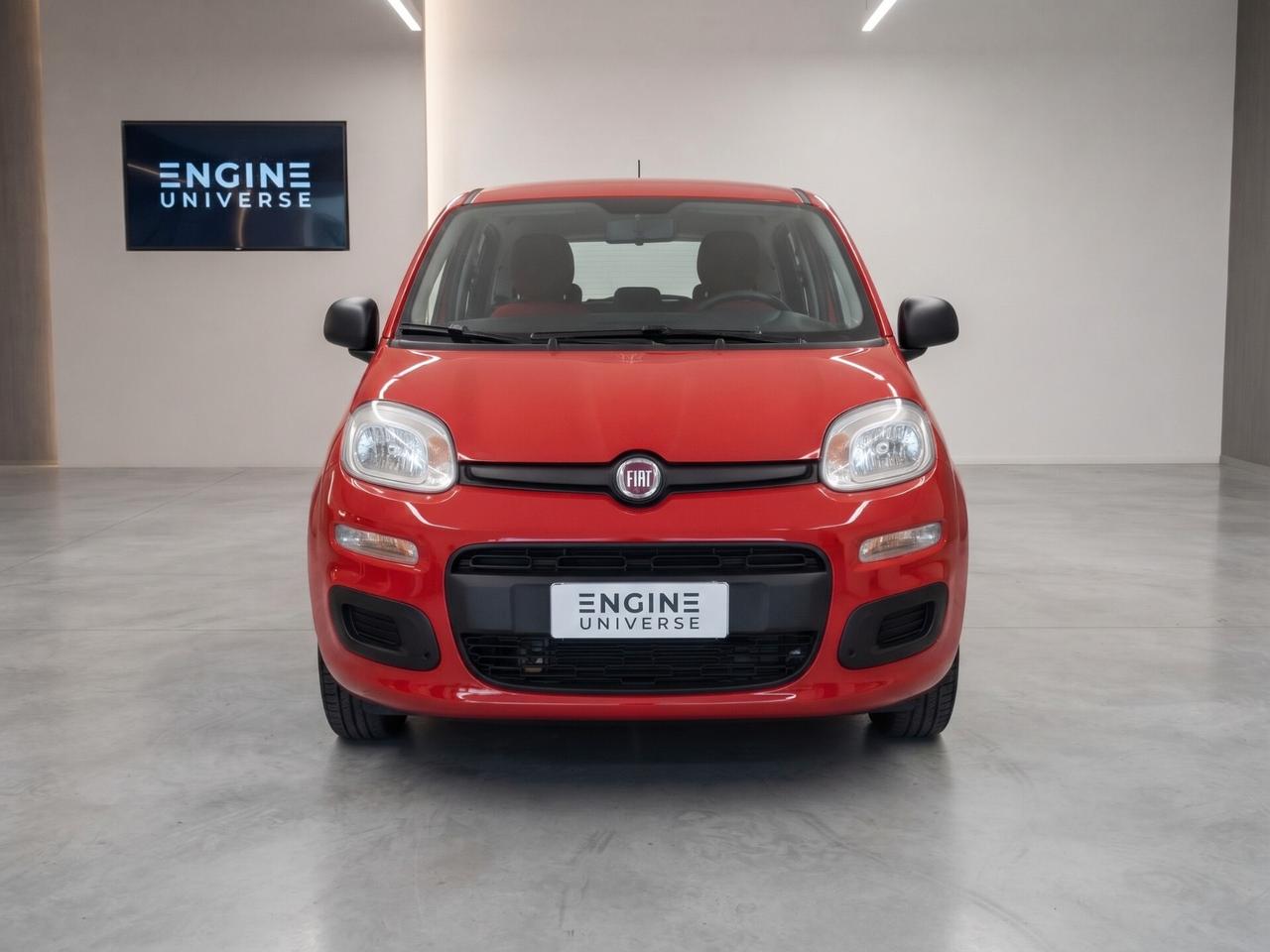 Fiat Panda 1.2 Lounge S&S (My19) - NEOPATENTATI