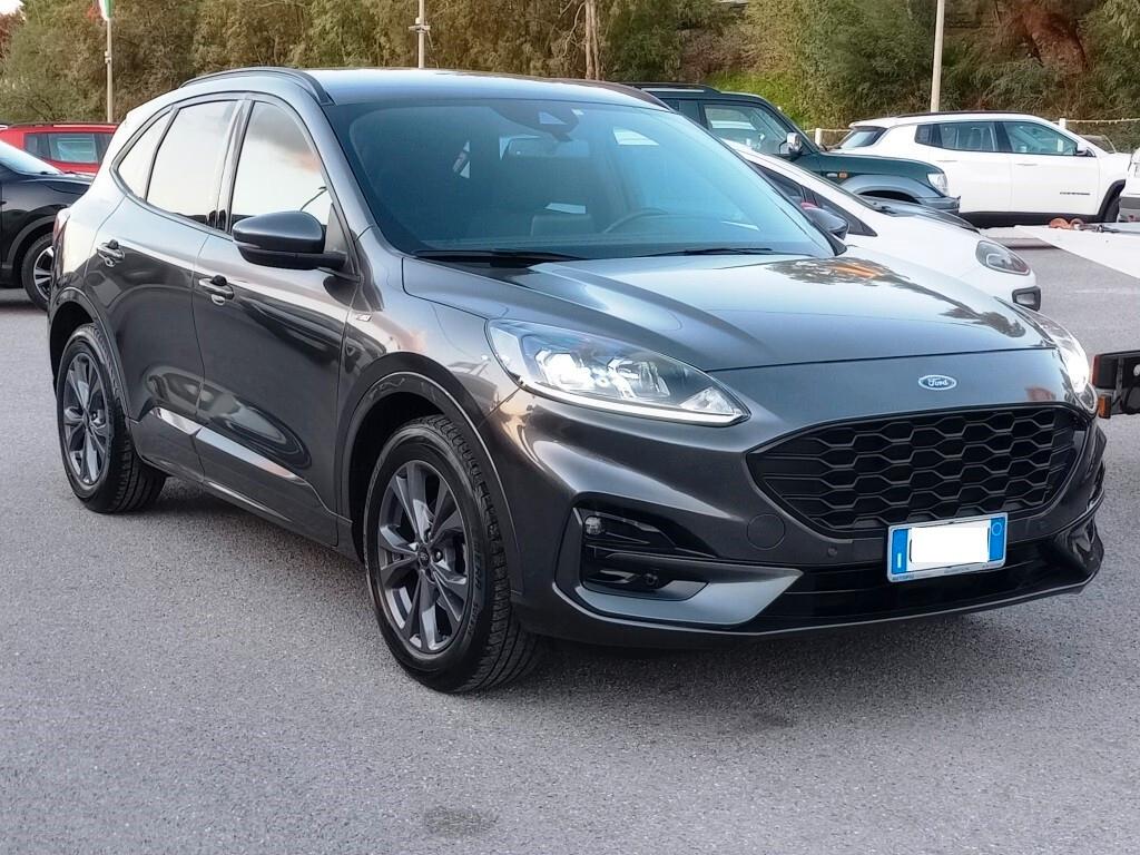 Ford Kuga 1.5 EcoBlue 120 CV aut. 2WD ST-Line X Design