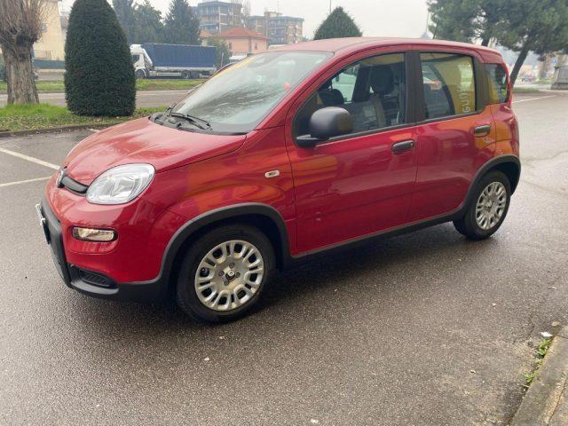 FIAT Panda 1.0 FireFly S&S Hybrid Pandina