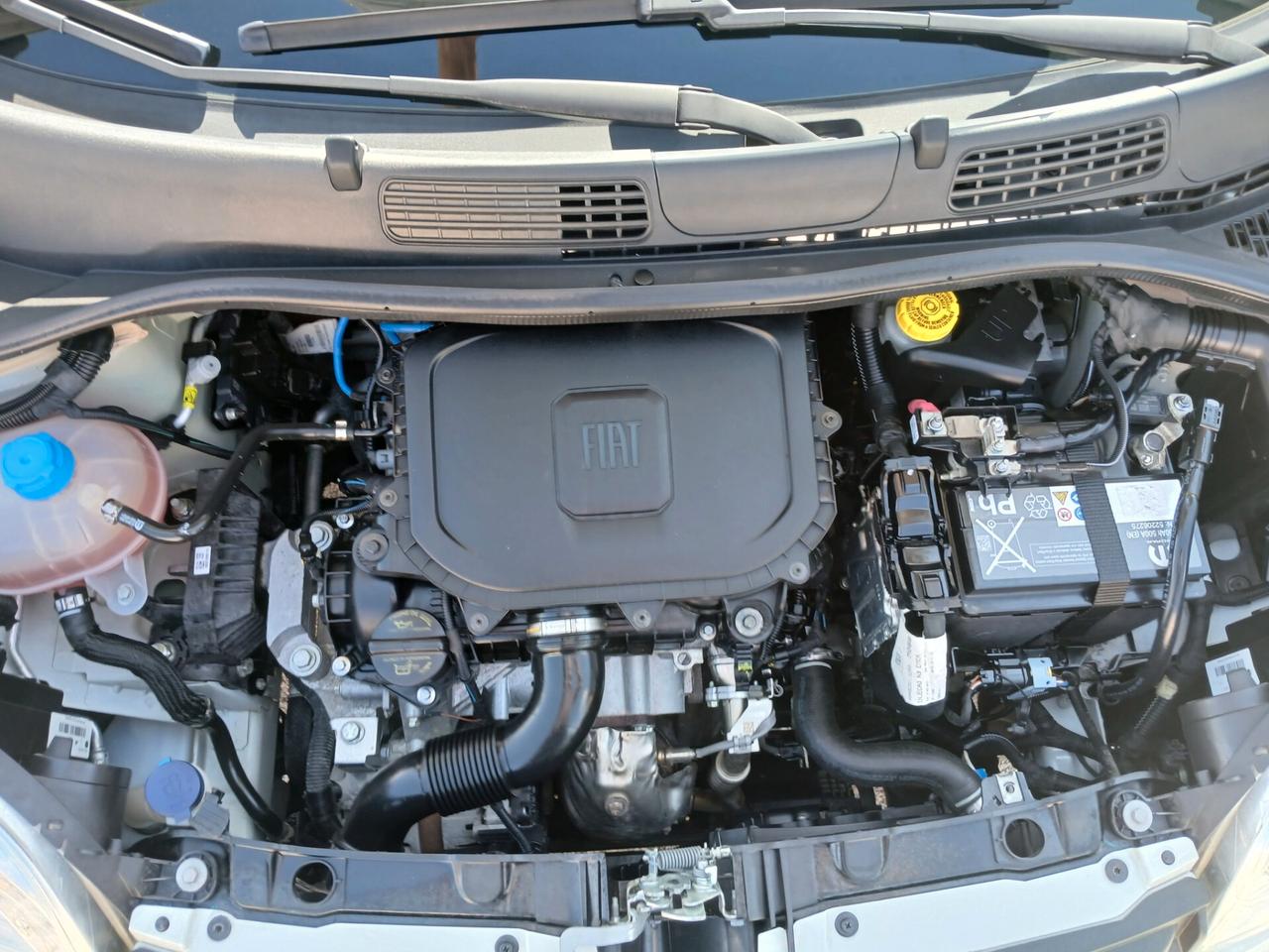 FIAT PANDA 1.0 BENZINA HYBRID 70CV 2023