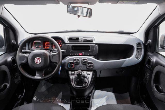 FIAT New Panda 1.2 Easy 4 posti N1 Autocarro della casa