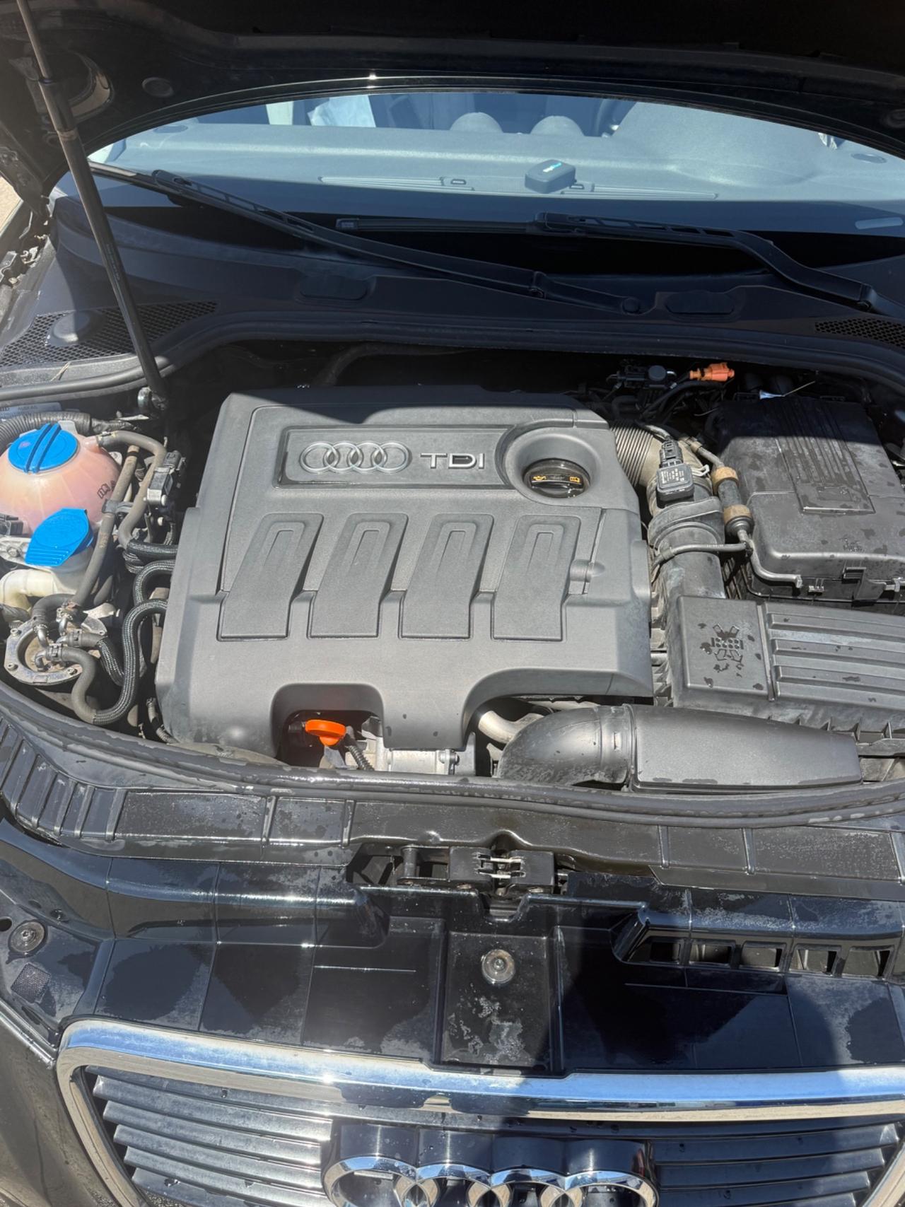 Audi A3 1.6 TDI 105 CV CR Ambiente