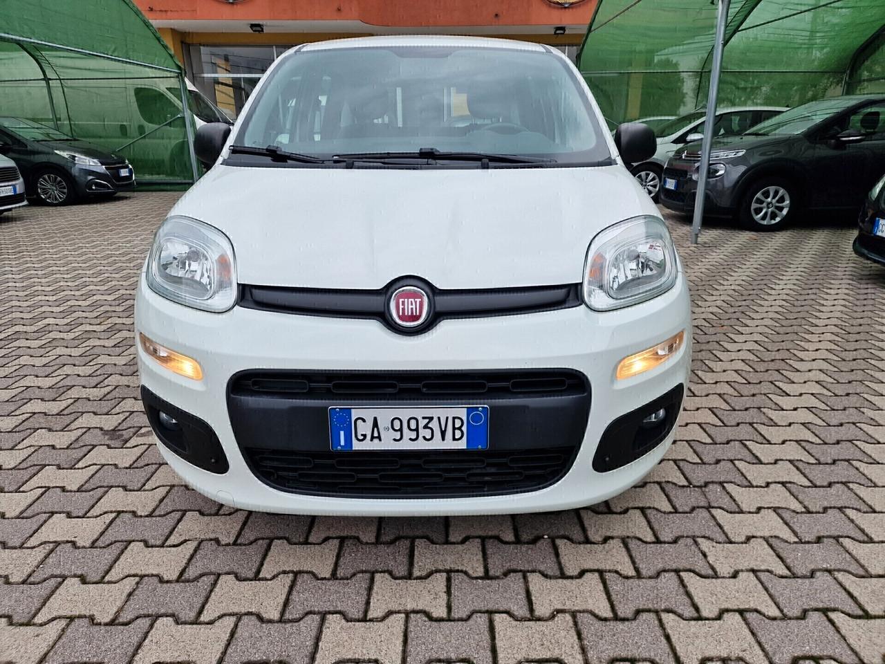 Fiat Panda 1.2 Easy 69 Cv ok Neopatentati
