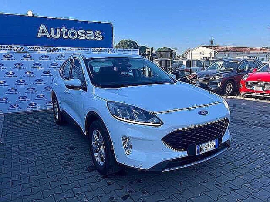 FORD Kuga 1.5 EcoBlue 120 CV 2WD Titanium Business del 2020