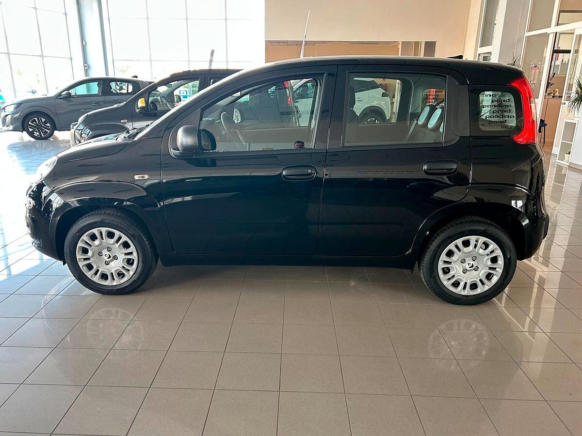 Fiat Panda 1.0 FireFly 70cv S&S Hybrid Icon