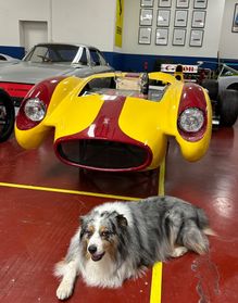 Mini Cooper SD Countryman 2.0 4x4