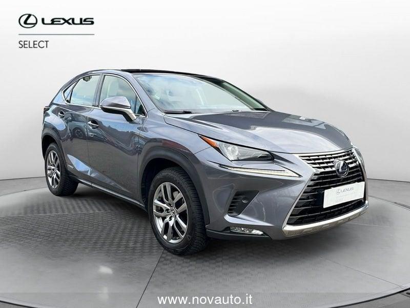 Lexus NX NX Hybrid 4WD Premium