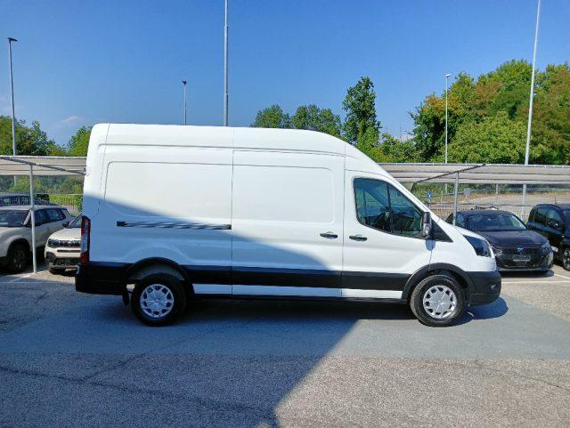 FORD Transit 350 2.0TDCi EcoBlue 170CV PL-TM Furgone Trend