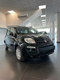 Fiat Panda 1.0 70 CV KM 0 disponibile Nero e bianca
