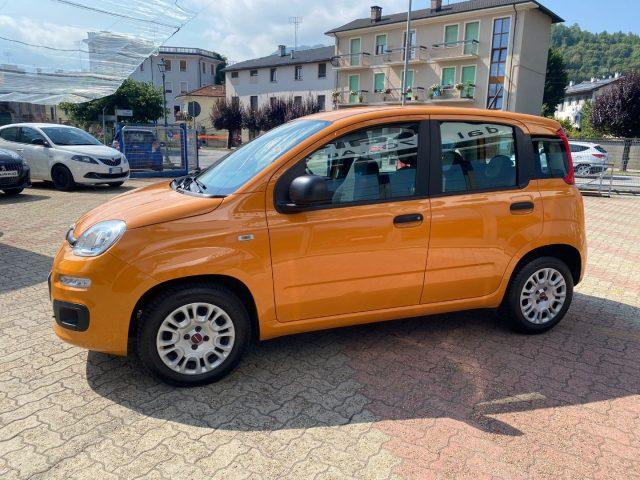 FIAT Panda 1.2 Easy *Sensori park post*Sedili Riscaldati