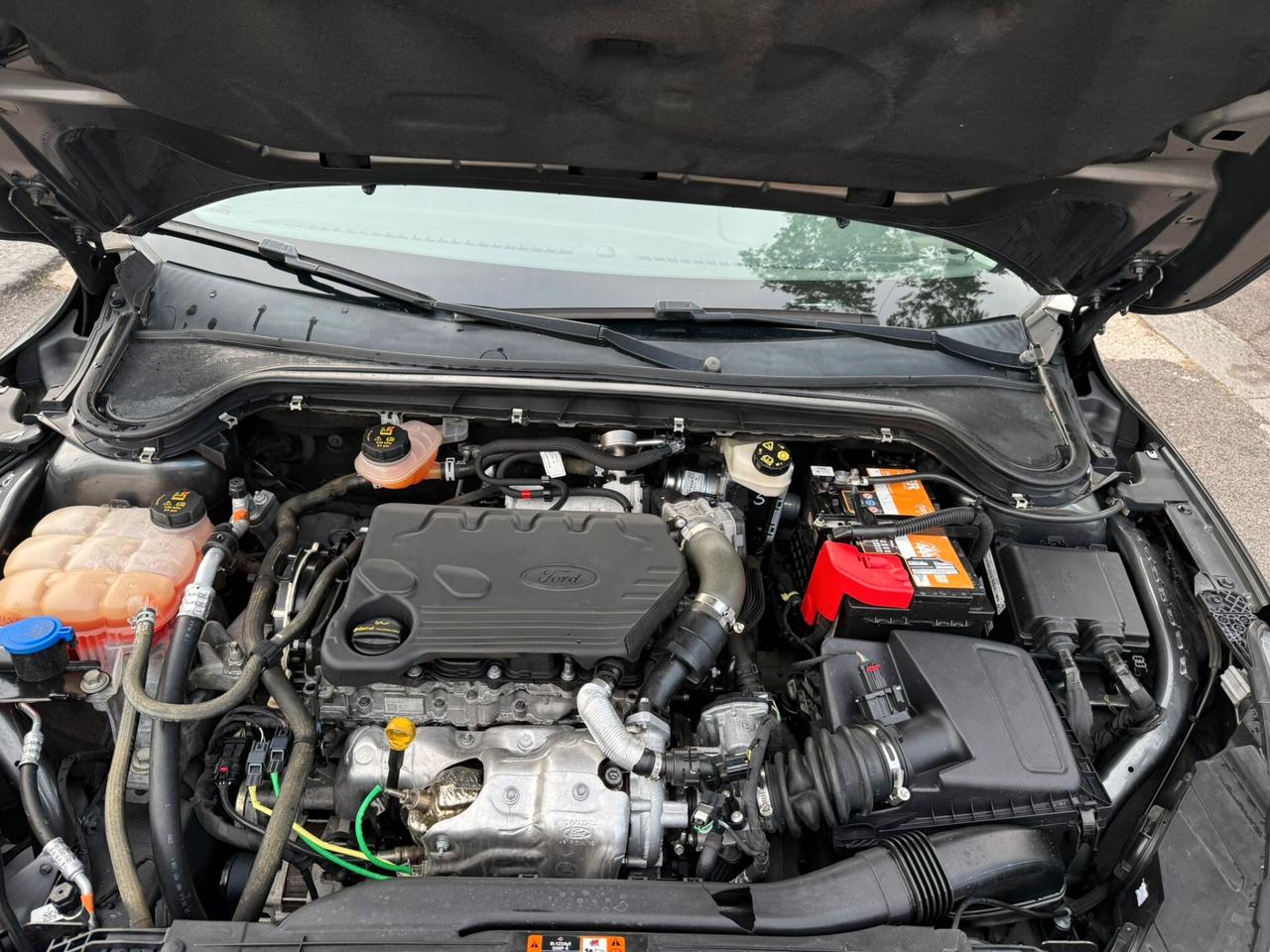 Ford Focus 1.5 EcoBlue 120 CV AUTOMATICA