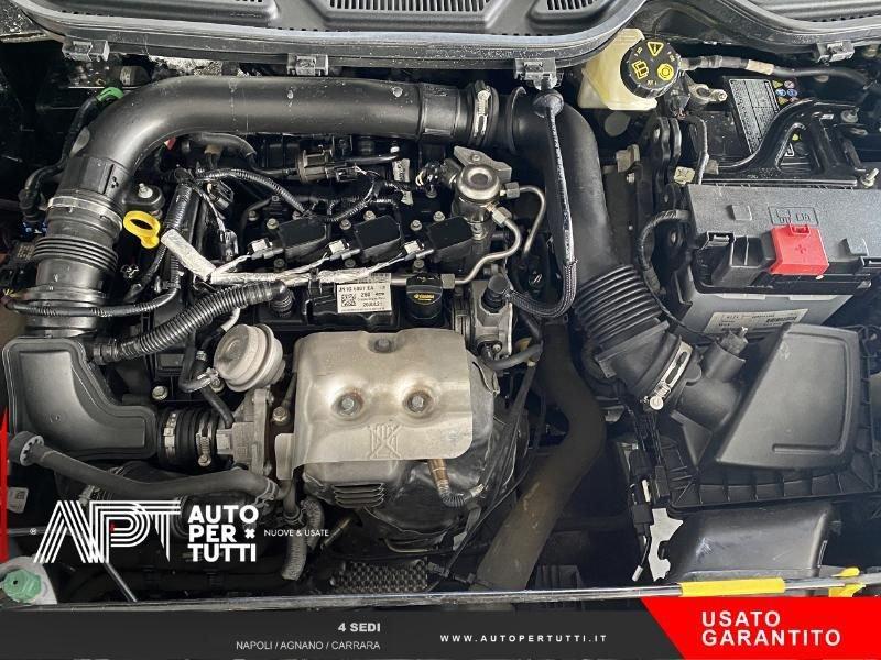 Ford EcoSport EcoSport 1.0 ecoboost ST-line s&s 125cv auto my20.