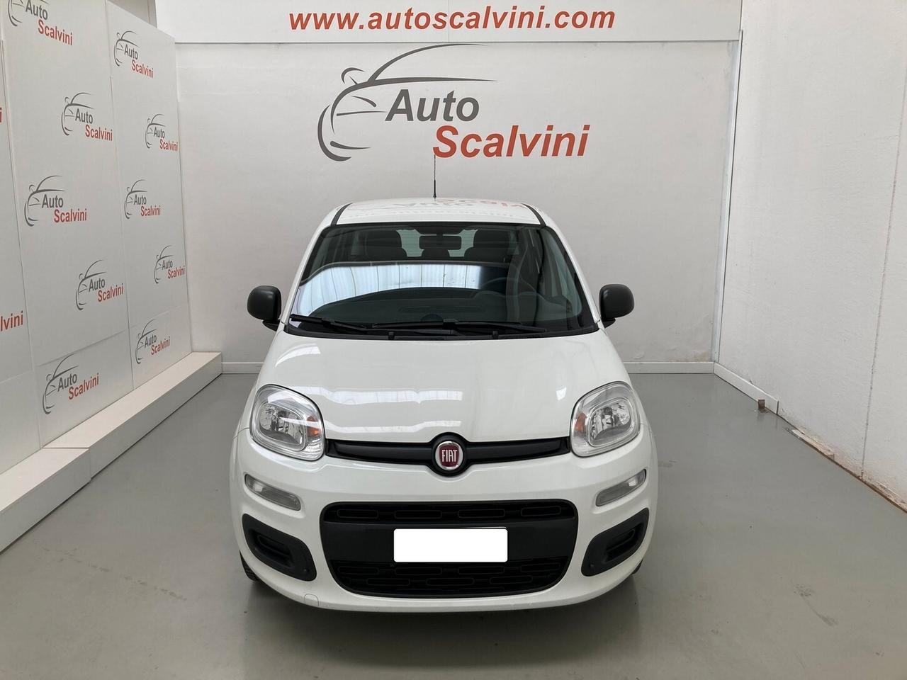 Fiat Panda 1.2 Easy 69CV 5POSTI#NEOPATENTATI