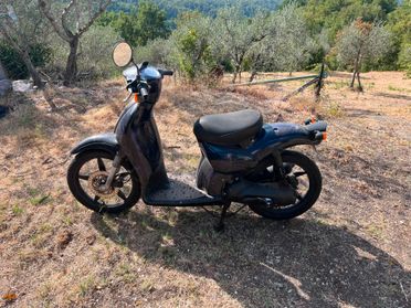 Aprilia Scarabeo