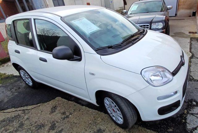 FIAT Panda 1.2 GARANZIA POCHI KM