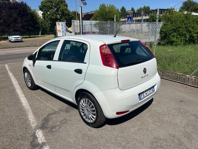 FIAT Punto 1.2 8V 5 porte Young