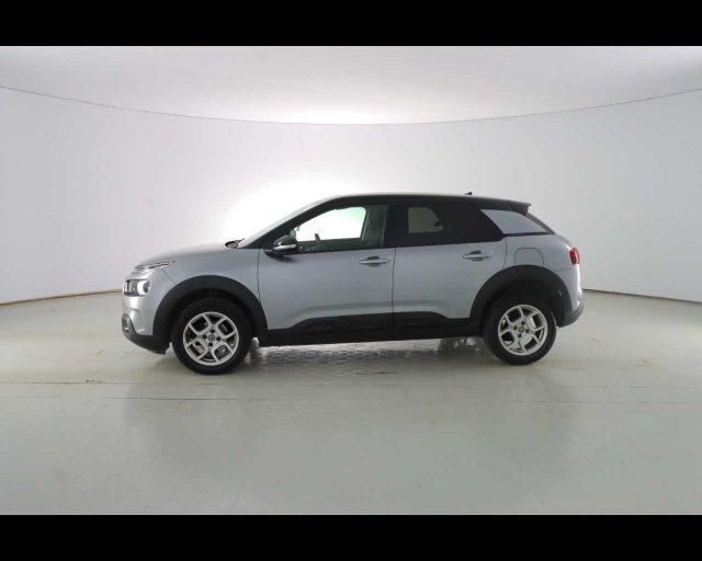 CITROEN C4 Cactus PureTech 110 S&S Shine
